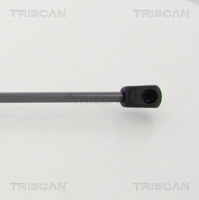 Cilindro Triscan A/S 8710 292041