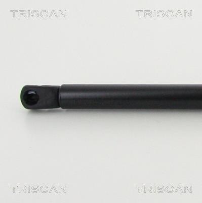 Cilindro Triscan A/S 8710 292041