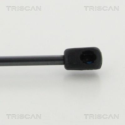 Vérin (Vérin de hayon) Triscan A/S 8710 292042