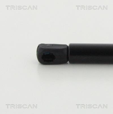 Vérin (Vérin de hayon) Triscan A/S 8710 292042