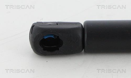 Vérin (Vérin de hayon) Triscan A/S 8710 292043