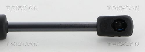 Vérin (Vérin de hayon) Triscan A/S 8710 292043