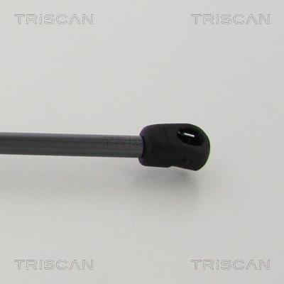 Vérin (Vérin de hayon) Triscan A/S 8710 292044