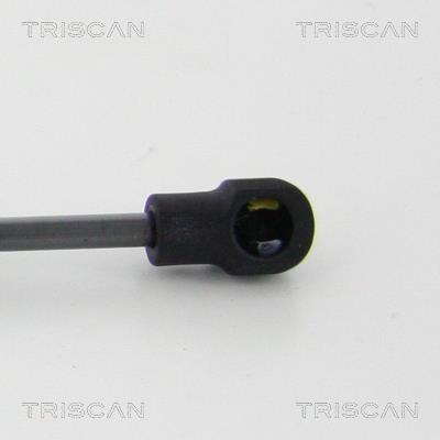 Vérin (Vérin de hayon) Triscan A/S 8710 292045