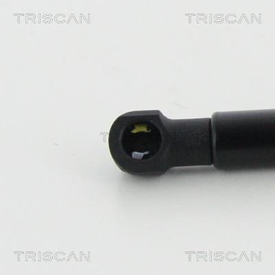 Vérin (Vérin de hayon) Triscan A/S 8710 292045