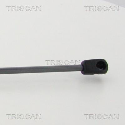Vérin (Vérin de hayon) Triscan A/S 8710 292046