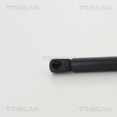 Vérin (Vérin de hayon) Triscan A/S 8710 292046