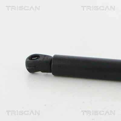 Vérin (Vérin de hayon) Triscan A/S 8710 292047