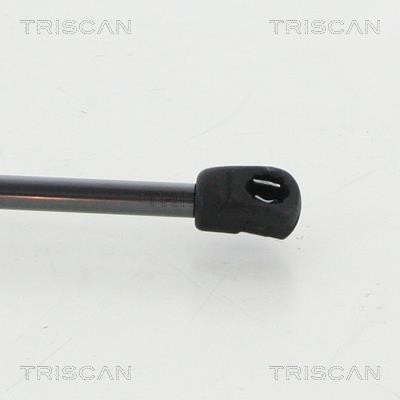 Vérin (Vérin de hayon) Triscan A/S 8710 292047