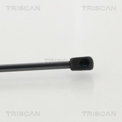 Vérin (Vérin de hayon) Triscan A/S 8710 292048