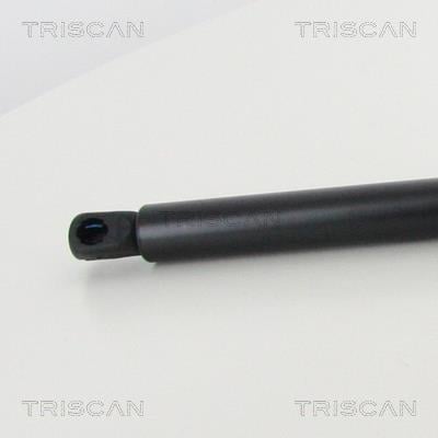 Vérin (Vérin de hayon) Triscan A/S 8710 292048