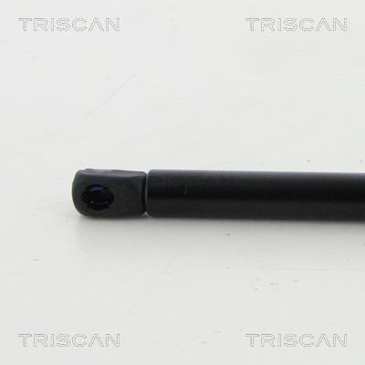 Vérin (Vérin de hayon) Triscan A/S 8710 29204