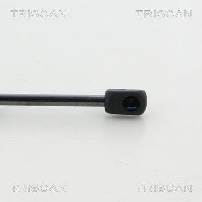 Vérin (Vérin de hayon) Triscan A/S 8710 29204