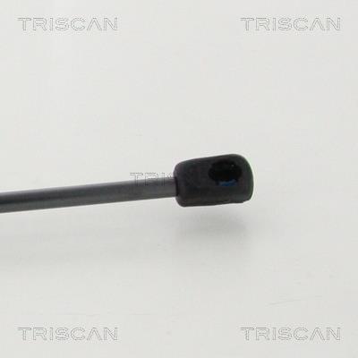 Vérin (Vérin de hayon) Triscan A/S 8710 292050