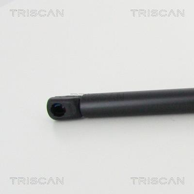 Vérin (Vérin de hayon) Triscan A/S 8710 292050