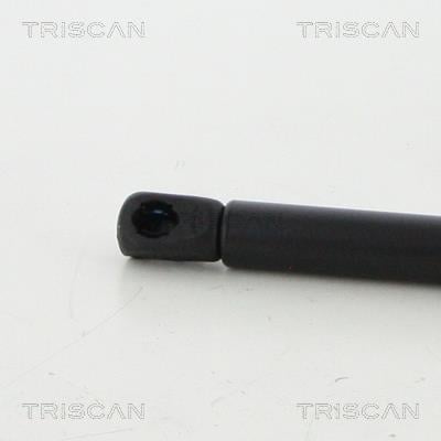 Vérin (Vérin de hayon) Triscan A/S 8710 292051