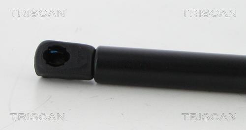 Vérin (Vérin de hayon) Triscan A/S 8710 292053