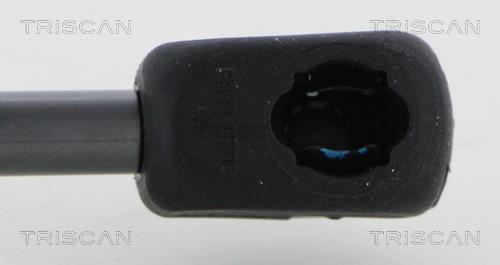 Vérin (Vérin de hayon) Triscan A/S 8710 292053