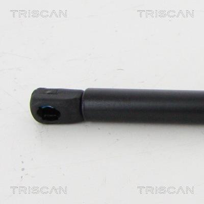 Vérin (Vérin de hayon) Triscan A/S 8710 292054