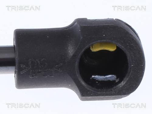 Vérin (Vérin de hayon) Triscan A/S 8710 292055
