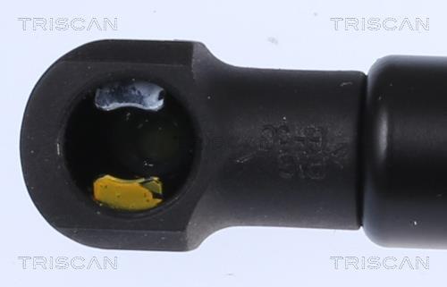 Vérin (Vérin de hayon) Triscan A/S 8710 292055