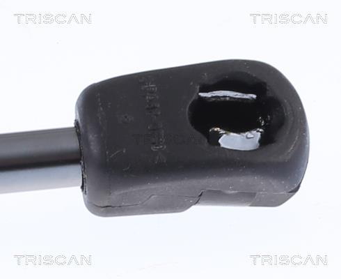Muelle neumático Triscan A/S ref. 8710 292056