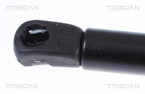 Vérin (Vérin de hayon) Triscan A/S 8710 292057