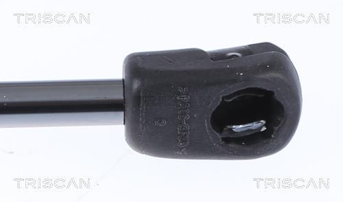 Vérin (Vérin de hayon) Triscan A/S 8710 292057