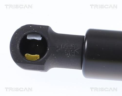 Vérin (Vérin de hayon) Triscan A/S 8710 292058
