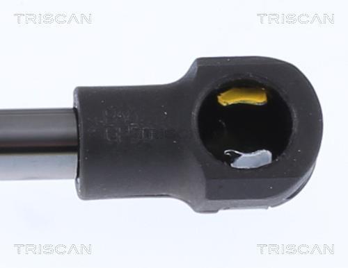 Vérin (Vérin de hayon) Triscan A/S 8710 292058