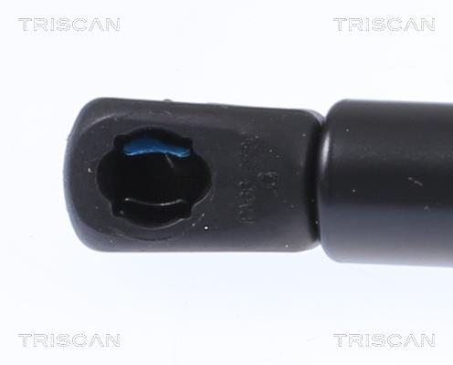 Vérin (Vérin de hayon) Triscan A/S ref. 8710 292059