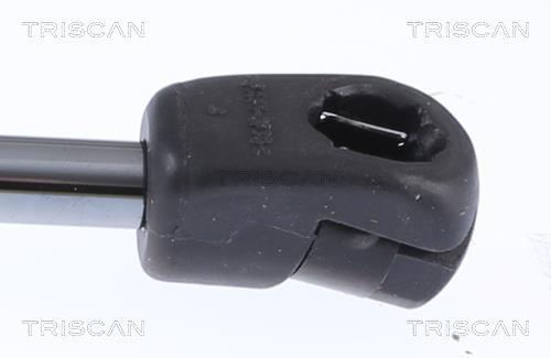 Vérin (Vérin de hayon) Triscan A/S ref. 8710 292059