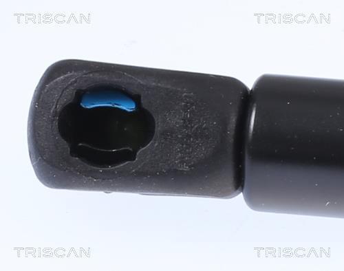 Vérin (Vérin de hayon) Triscan A/S 8710 292060