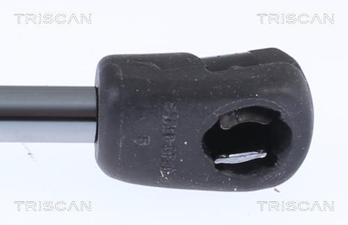 Vérin (Vérin de hayon) Triscan A/S 8710 292060