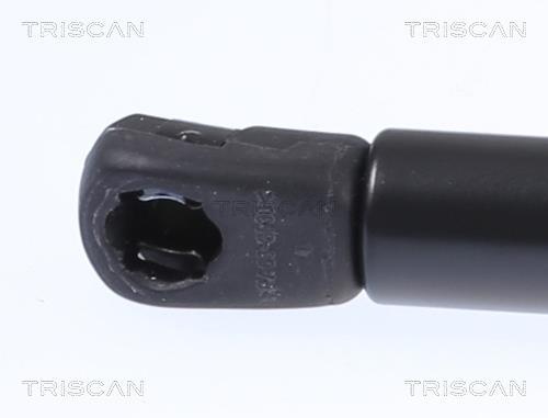 Vérin (Vérin de hayon) Triscan A/S 8710 292061