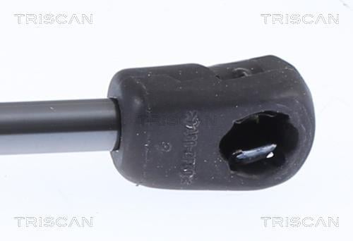 Vérin (Vérin de hayon) Triscan A/S 8710 292061