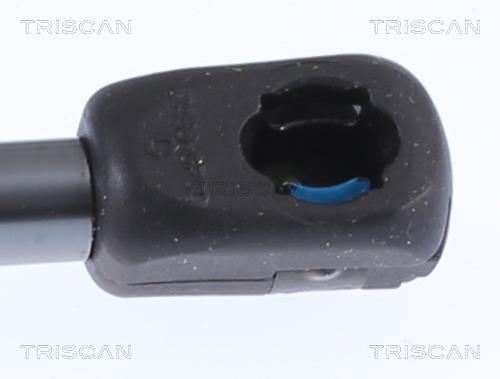 Vérin (Vérin de hayon) Triscan A/S ref. 8710 292062