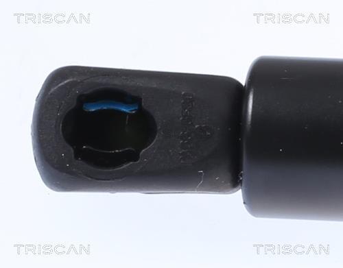 Vérin (Vérin de hayon) Triscan A/S 8710 292063