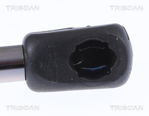 Vérin (Vérin de hayon) Triscan A/S 8710 292063