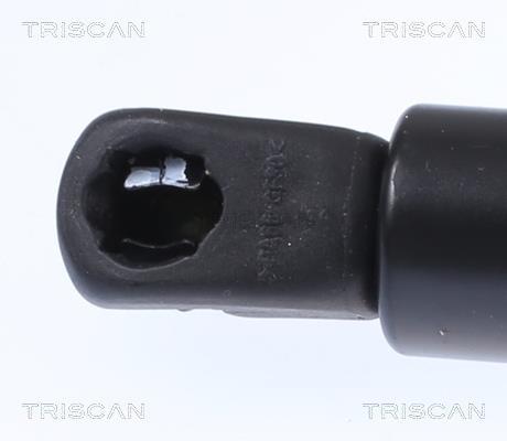 Vérin (Vérin de hayon) Triscan A/S 8710 292064