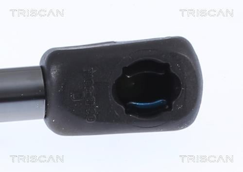 Vérin (Vérin de hayon) Triscan A/S 8710 292064