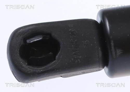 Cilindro Triscan A/S 8710 292065