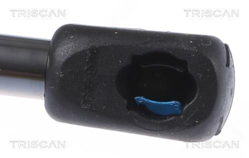 Cilindro Triscan A/S 8710 292065