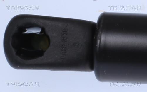 Muelle neumático Triscan A/S ref. 8710 292067