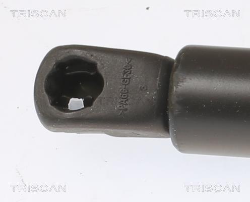 Vérin (Vérin de hayon) Triscan A/S 8710 292068