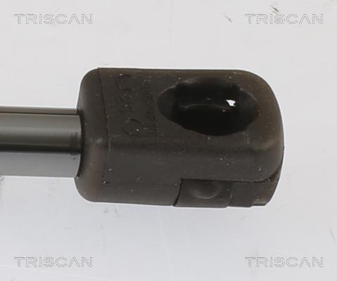 Vérin (Vérin de hayon) Triscan A/S 8710 292068