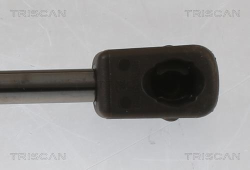 Vérin (Vérin de hayon) Triscan A/S 8710 292069