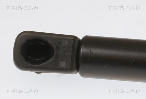 Vérin (Vérin de hayon) Triscan A/S 8710 292069