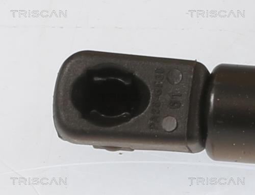 Vérin (Vérin de hayon) Triscan A/S 8710 292070