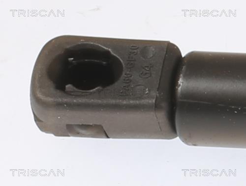 Vérin (Vérin de hayon) Triscan A/S ref. 8710 292071